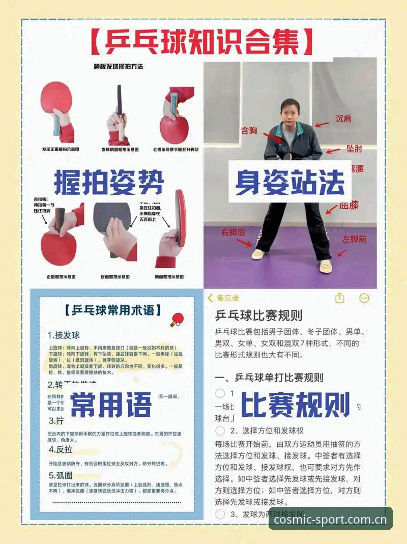 星空体育官方通道实用指南：新手快速上手的必备知识